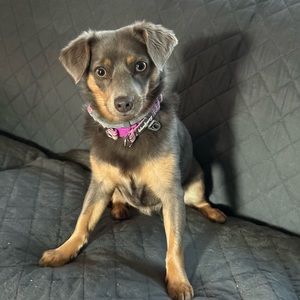 Meet your Posher, Jaime